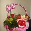 Cesta Showcolats